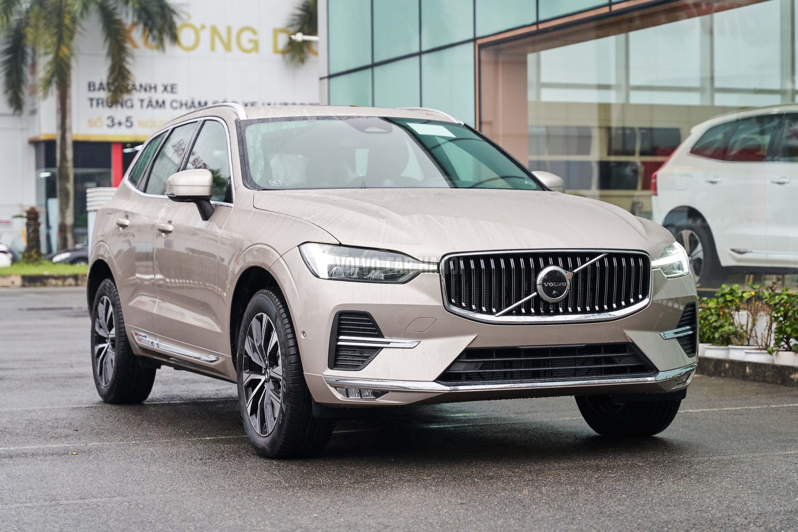 XC60 Ultimate Vàng Đồng